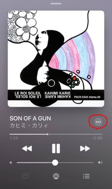 カヒミカリィのSON OF A GUN