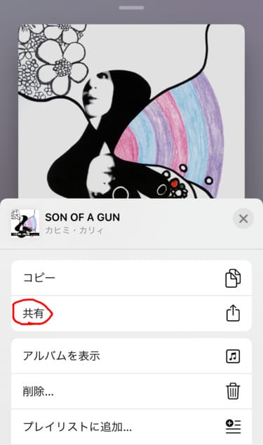 カヒミカリィの曲、SON OF A GUNの詳細